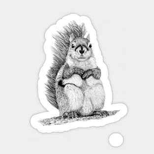 Squirrel Sticker